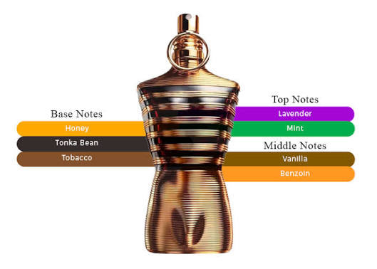 Le Male Elixir Jean Paul Gaultier