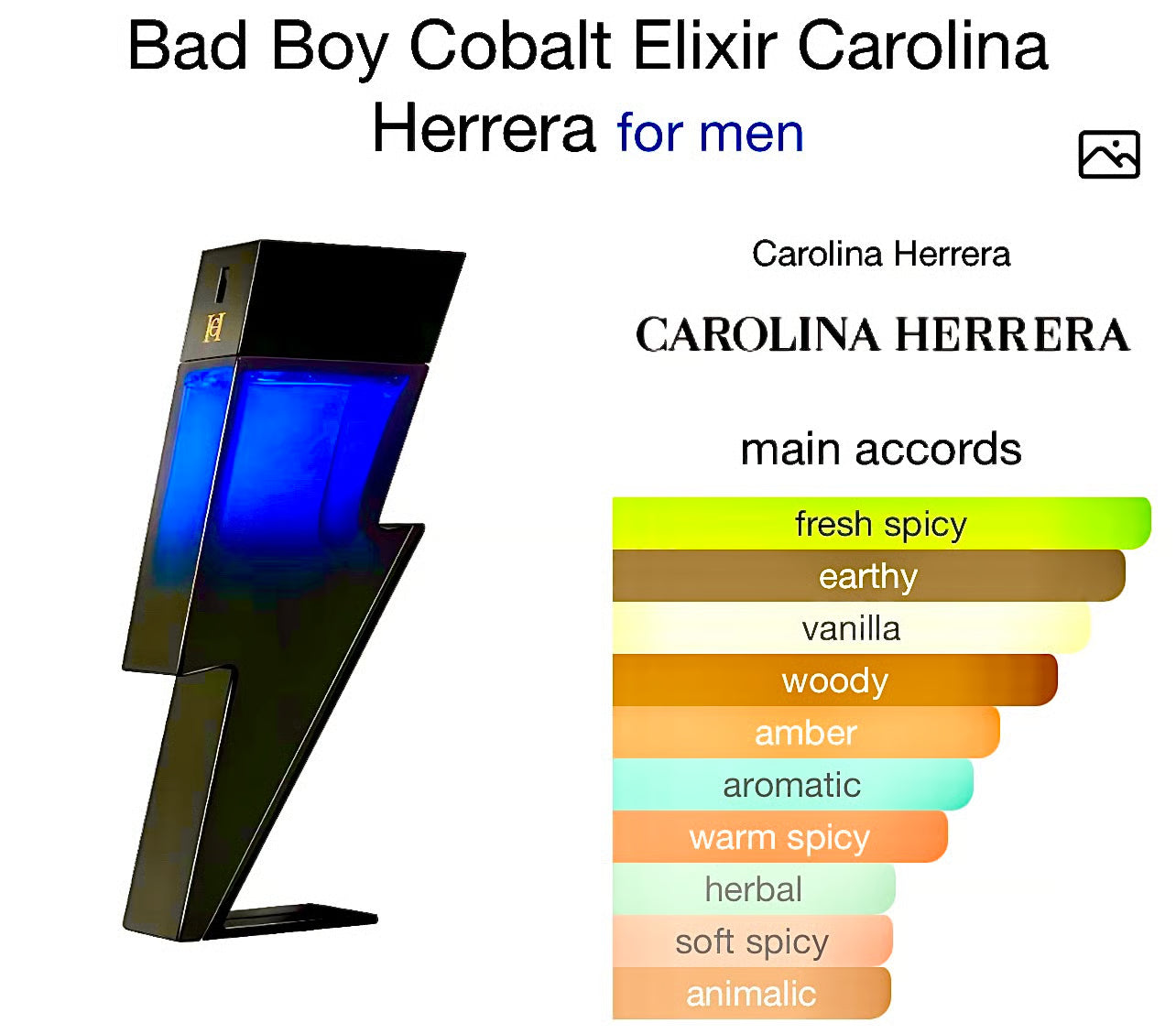 Bad Boy Cobalt Elixir Carolina Herrera